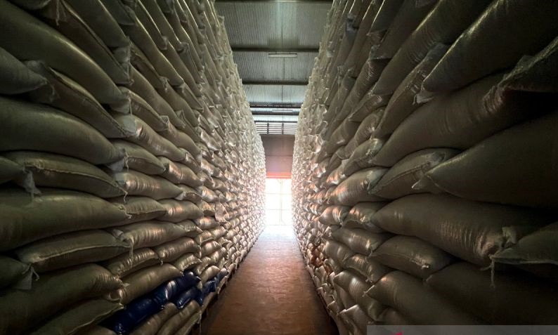 Stok Beras RI Tembus 4,5 Juta Ton, Mentan Pastikan Pangan Aman Meski Gejolak Global