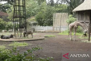 Bandung Zoo Disorot. DPRD Jabar Minta Seleksi Pengelola Transparan.