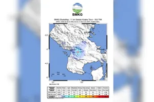 BMKG Sebut Aktivitas Sesar Aktif Kembali Picu Gempa Tektonik di Kolaka Timur