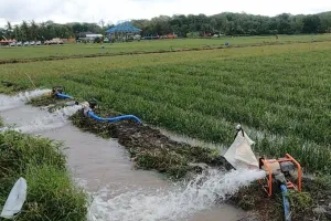 Antisipasi Ancaman El Nino Godzilla ! Daerah Diminta Segera Identifikasi Lahan Rawan Kekeringan