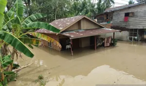 Banjir Rendam Hampir Seluruh Kota Bengkulu, 2.688 KK Terdampak Usai Hujan Deras