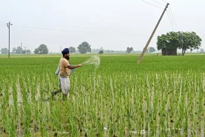 Kebutuhan Pupuk Meningkat Paksa India Impor 2,5 Juta Metrik Ton Urea