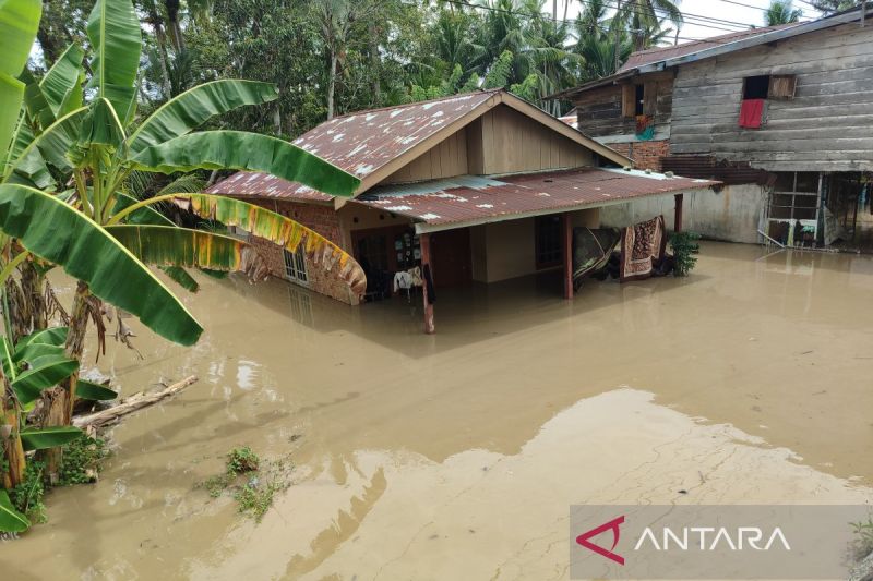 Banjir Rendam Kota Bengkulu, BPBD Catat 2.688 Keluarga Terdampak 