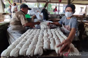 Menahan Harga di Tengah Tekanan: Kisah Perajin Tahu Kudus Bertahan