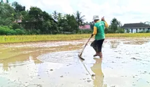 Pekebun rakyat jadi petani paling makmur di Kalimantan Timur