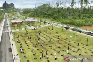 Pengunjung Diajak Hijaukan Kawasan IKN  dengan Tanam Pohon
