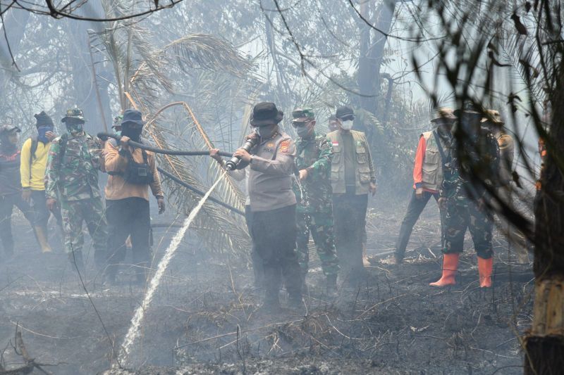 17 Pelaku Karhutla Ditangkap, Polda Riau Tegas Berantas Pembakaran Lahan