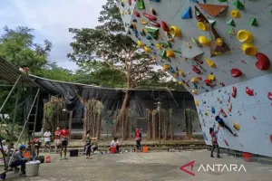 Atlet Panjat Tebin Raviandi Masuk Semifinal Boulder dalam Kualifikasi Asian Games 2026