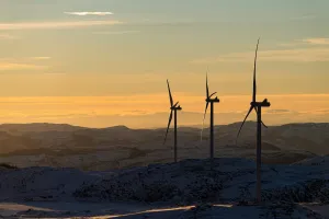 Bidik Target 'Net Zero': Estonia Ajak Indonesia Perkuat Sinergi Energi Terbarukan