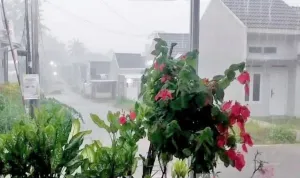 BMKG Imbau Masyarakat Waspada Cuaca Ekstrem saat Masa Pancaroba