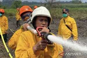 BPBD Kaltim   Antisipasi Karhutla di Lingkar IKN
