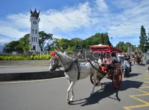 Tak Bisa Andalkan Satu Sektor! Sumbar Didesak Segera Berbenah, Diversifikasi Jadi Kunci!