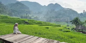 Mencari Makna dari Undakan Sawah