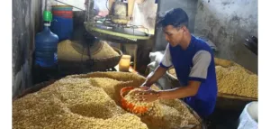 Ironis! Negara Asal Tempe Lahir Namun Kedelai dari Luar Negeri, Mengapa Ini Bisa Terjadi?