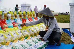 Penuhi Kebutuhan Rakyat Kecil, Pemerintah Siapkan Kemasan Beras SPHP 2 Kg 
