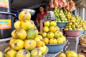Tak Mau Setengah Hati, Sumedang All Out Kembangkan Mangga dan Cabai lewat HDDAP