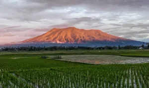 Aktivitas Gunung Marapi Terpantau Stabil