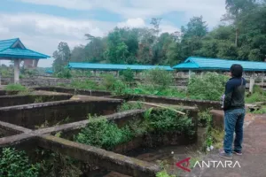 Demi Genjot PAD, Kolam-Kolam Mangkrak di Rejang Lebong Bakal Direvitalisasi