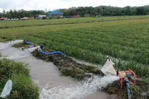 Antisipasi Kekeringan, Kementan Siapkan Irigasi Pompa di Lamongan