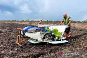 Kampus Diajak Turun Gunung, Dorong Hilirisasi Pertanian Lebih Ngebut