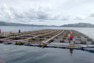 Ketum Kadin: Potensi Papua Lebih dari Sekadar Emas dan Tembaga