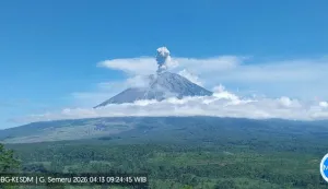 Gunung Semeru Erupsi dengan Tinggi Letusan Mencapai 1.000 Meter 