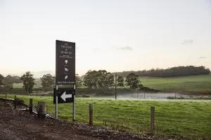 Eksplorasi South West Australia: Pesona Hutan Purba, Keajaiban Bawah Tanah, dan Kuliner Mewah