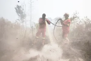 Gawat! Titik Api Karhutla Riau Terus Meluas ke Empat Kabupaten, Siaga Darurat Hingga November