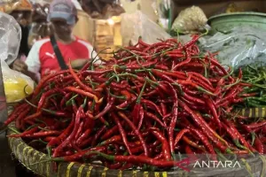 Harga Cabai Rawit Rp78.600 Per Kg, Telur Ayam Rp32.450 Per Kg