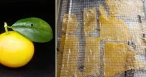 Inovasi Pangan Dikembangkan BRIN Berupa Lembaran Jeruk Gamindo B, Jadi Nilai Tambah Hortikultura Nasional
