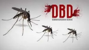 Pakar Kesehatan: Fenomena El Nino dapat Tingkatkan DBD