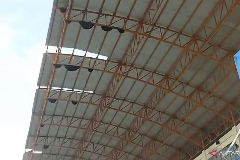 Pemkab Bersihkan Belasan Sarang Lebah di Stadion Utama Malinau