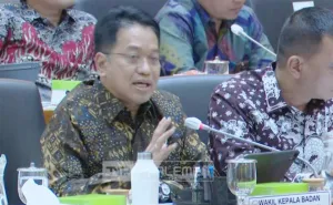 BPS Temukan 16.103 PNS dan Pegawai BUMN Masuk Daftar Negatif Peserta PBI JKN 2026