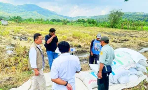 Hasil Serapan Bulog DIY Tembus 101 Ribu Ton Setara Beras