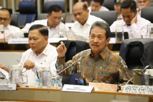 Keren! KKP Targetkan Ekosistem Karbon Biru Serap 10 Juta Ton CO2 Tiap Tahun