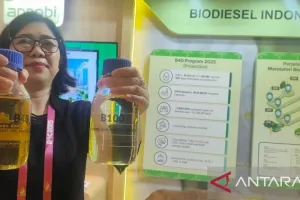 Akselerasi Energi Nabati: Kementan Gandeng Danantara, Solusi atau Tantangan Baru?