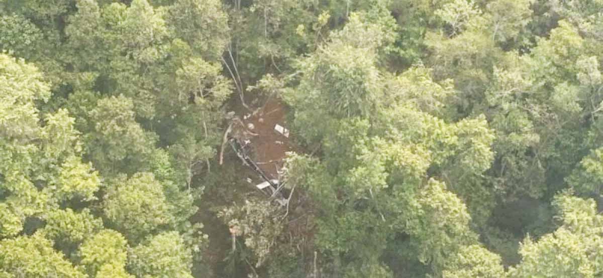 Basarnas Laporkan Penemuan Helikopter Airbus H130 PK-CFX yang Jatuh di Hutan Sekadau Kalbar
