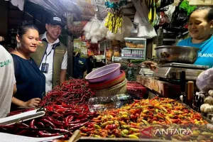 Harga Cabai Rawit Rp75.900/Kg, Telur Ayam Rp32.400/Kg