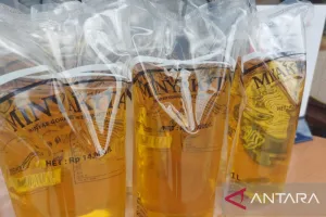 Harga Minyakita Turun Per April 2026, Mendag Pastikan Stok Melimpah di Pasar Rakyat