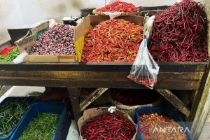 Harga Cabai Rawit Rp75.550 Per Kg, Telur Ayam Rp32.350 Per Kg