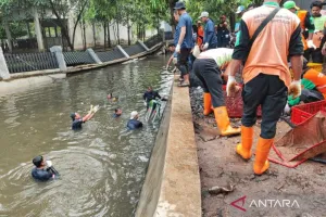 Pemkot Jaksel Targetkan 5 Ton Ikan Sapu-sapu dari Setu Babakan