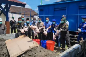 Pemusnahan 5,96 Ton Daging Ayam Asal Jawa Timur oleh Karantina NTB