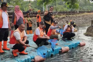 Waspada Ikan Sapu-Sapu Masuk Makanan, DPRD Minta Pengawasan Diperketat