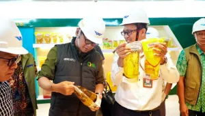 Bapanas Kawal Produksi dan Distribusi Minyakita