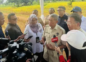 Arah Swasembada Semakin Kuat, HKTI Tegaskan Kondisi Nyata Lapangan Buktikan Stok Beras Melimpah