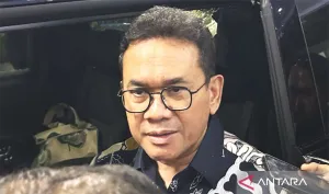 Bulog Klaim Minyakita Ada  di Jakarta-Banten 
