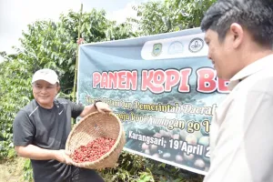 Jangan Petik yang Hijau, Bupati Kuningan Bongkar Rahasia Kopi Lokal Bisa Tembus Pasar Ekspor