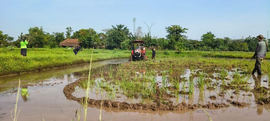 Keren! Petani Bakal Nggak Pakai Solar Impor: Kementan Percepat Pemanfaatan B50 Buat Alat Pertanian