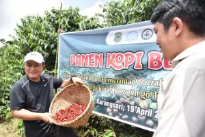 Kopi Kuningan Makin Dilirik, Pemkab Sebut Siap Go Global