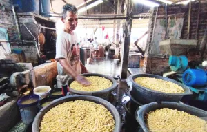 Pemkab Kudus Pastikan Stok Kedelai Impor Masih Tersedia Cukup